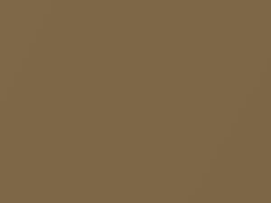 Dodge All Models Medium Tan Metallic 1967 CAY2T4, Y - Scratch Repair