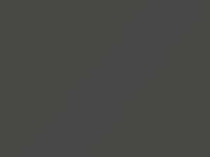 Toyota All Models Juno Gray 1969 1354