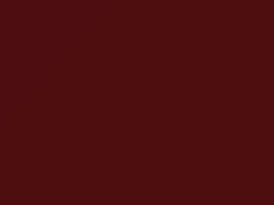 Isuzu Amigo Flare Red 1991 831, R904P802-0