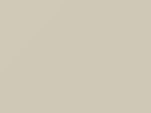 Fiat All Models Light Gray 1964 615