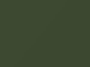 Porsche All Models Leaf Green 1974 218