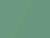 Dodge All Models Light Green Metallic 1969 AE2EF4, DT7544