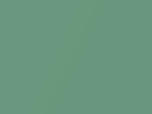 Dodge All Models Light Green Metallic 1969 AE2EF4, DT7544 - Scratch Repair