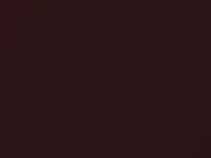Chrysler All Models Morocco Red 1982 AY69VM8, VM8