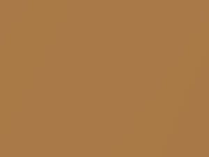 Ford All Models Tan Glow Metallic 1977 4, 5U, M5298A