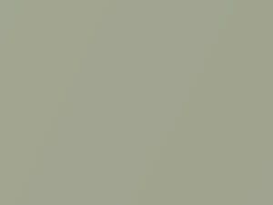 Oldsmobile All Models Silver Mint Metallic 1971 41, 4141, WA4141 - Scratch Repair