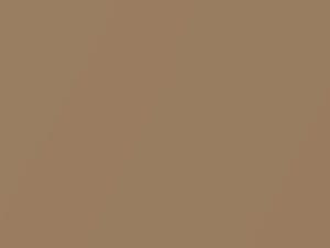 AMC All Models Butternut Beige Metallic 1969 P77