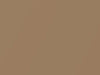 AMC All Models Butternut Beige Metallic 1969 P77