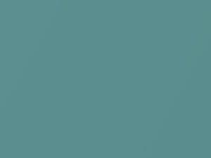 Chevrolet All Models Turquoise Metallic 1964 510, 5123, WA5123