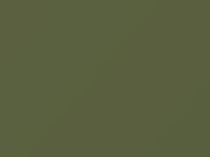Buick All Models Ranch Green 1975 44, 4516, WA4516