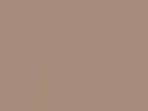 Buick All Models Burnished Copper Metallic 1972 4239, 63, WA4239