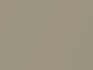 Mercedes-Benz All Models Tunis Beige Metallic 1975 462, 8-462 - Scratch Repair