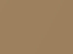 Chevrolet All Models Gold Metallic 1981 54, 7265, WA7265 - Scratch Repair