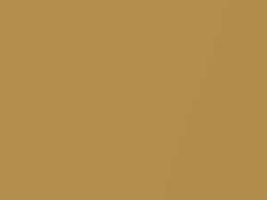 Ford All Models Gold Glow Metallic 1975 6G, M5086A