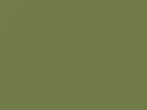 Ford All Models Medium Green Glow Metallic 1975 M5435A, W