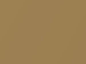 Pontiac All Models Anniversary Gold Metallic/Buckskin Metallic 1977 4938, 55, 63, WA4938