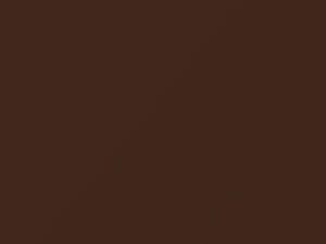Toyota All Models Brown 1984 4C2