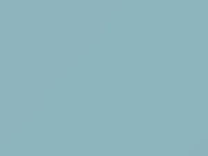Fiat All Models Light Blue 1968 491