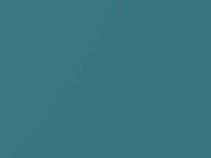 Chevrolet All Models Dark Aqua Metallic 1966 511, 5142, 536, WA5142