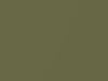 Dodge All Models Light Green Metallic 1970 AY2FF4, F4