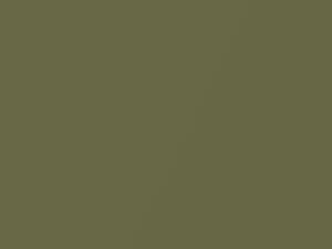 Dodge All Models Light Green Metallic 1970 AY2FF4, F4 - Scratch Repair