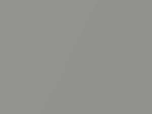 Jaguar All Models Light Silver Gray Metallic 1971 3308