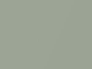 Chrysler All Models Light Seaspray Green Metallic 1981 AY70VF2, VF2