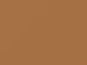 Volkswagen All Models Samos Beige 1980 LH1N