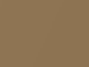 Datsun All Models Deep Gold Metallic 1976 304