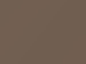 Austin Rover All Models Sandy Beige 1969 BG15 - Scratch Repair