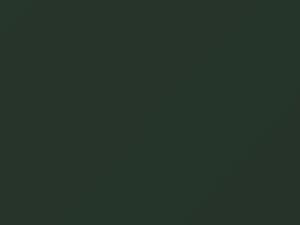 Saab All Models Emerald Green 1975 GN10H - Scratch Repair