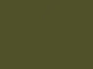 Toyota All Models Green Metallic 1974 662