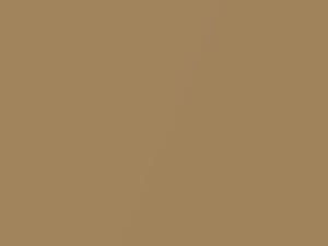 Ford All Models Sunlit Gold Metallic 1968 M3073A, Y