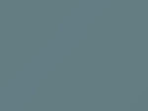 Volkswagen All Models Niagara Blue 1971 L53D