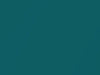 AMC All Models Sea Foam Aqua Metallic 1970 P85