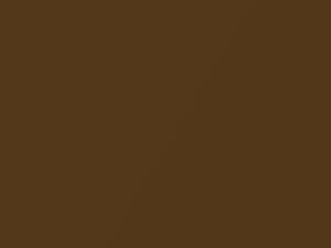 Plymouth All Models Spanish Gold Metallic 1975 AY70LY9, Y9