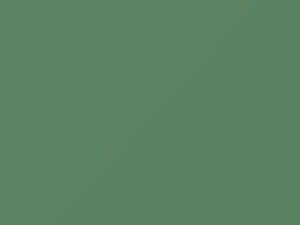 Fiat All Models Light Green 1972 304