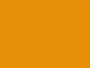 Volkswagen All Models Sun Gold 1975 L13K