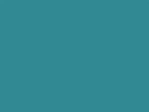 Ford All Models Aquatone Blue 1955 C, M20J347