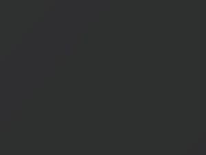 Fiat All Models Medium Gray 1965 689