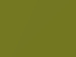 Plymouth All Models Citron Metallic 1978 AY70RJ3, J3