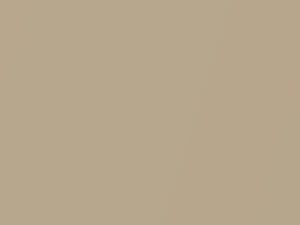 Chevrolet All Models Light Chestnut Metallic 1981 62, 7313, WA7313 - Scratch Repair