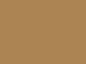 Mitsubishi All Models Florence Beige 1983 AC10670, S70