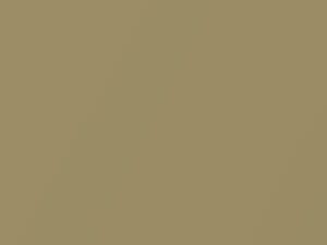 Buick All Models Champagne Metallic 1966 3509, S, WA3509 - Scratch Repair