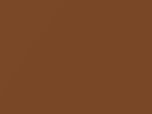 Dodge All Models Dark Bronze Metallic 1969 AY2ET7, T7 - Scratch Repair