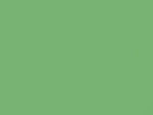Ford All Models Meadowmist Green 1956 G, M20J527