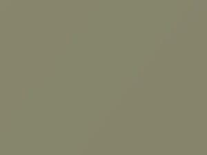 Fiat All Models River Gray 1973 684
