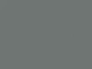 Saab All Models Silver Mink Gray 1972 RB1