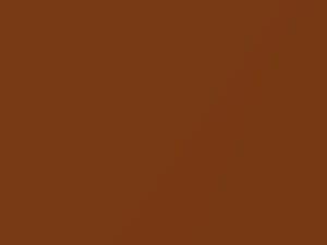 Capri All Models Copper Metallic 1973 7