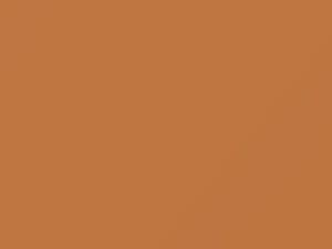 Ford All Models Light Chamois/Tan 1979 83, M5524A